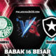 Prediksi Skor Bola Palmeiras Vs Botafogo 28 Juni 2025